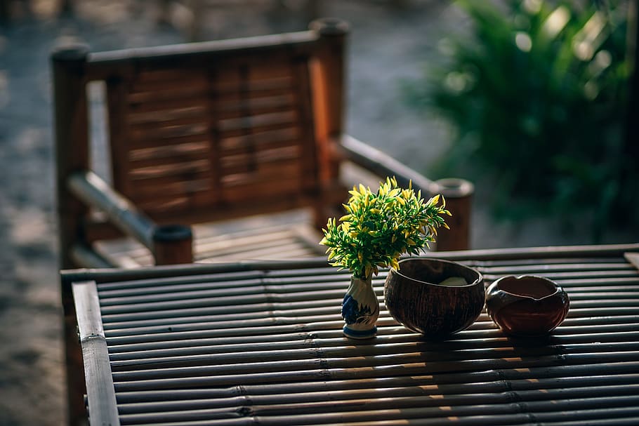 Selective Focus Photography of Green Leafed Plant on Table, ashtray HD wallpaper