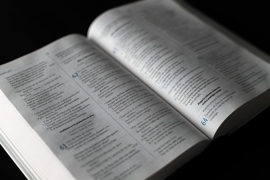 Bible Page, book, information, knowledge, panama, paper, text HD wallpaper