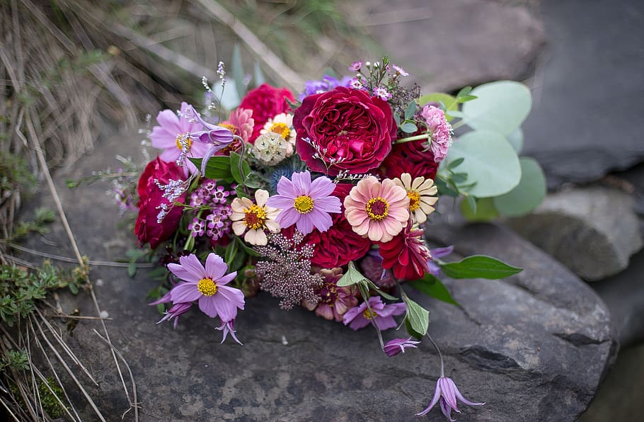 Hd Wallpaper Bouquet Peach Zinnia Antique Rose Burgundy Rose Cosmos Wallpaper Flare