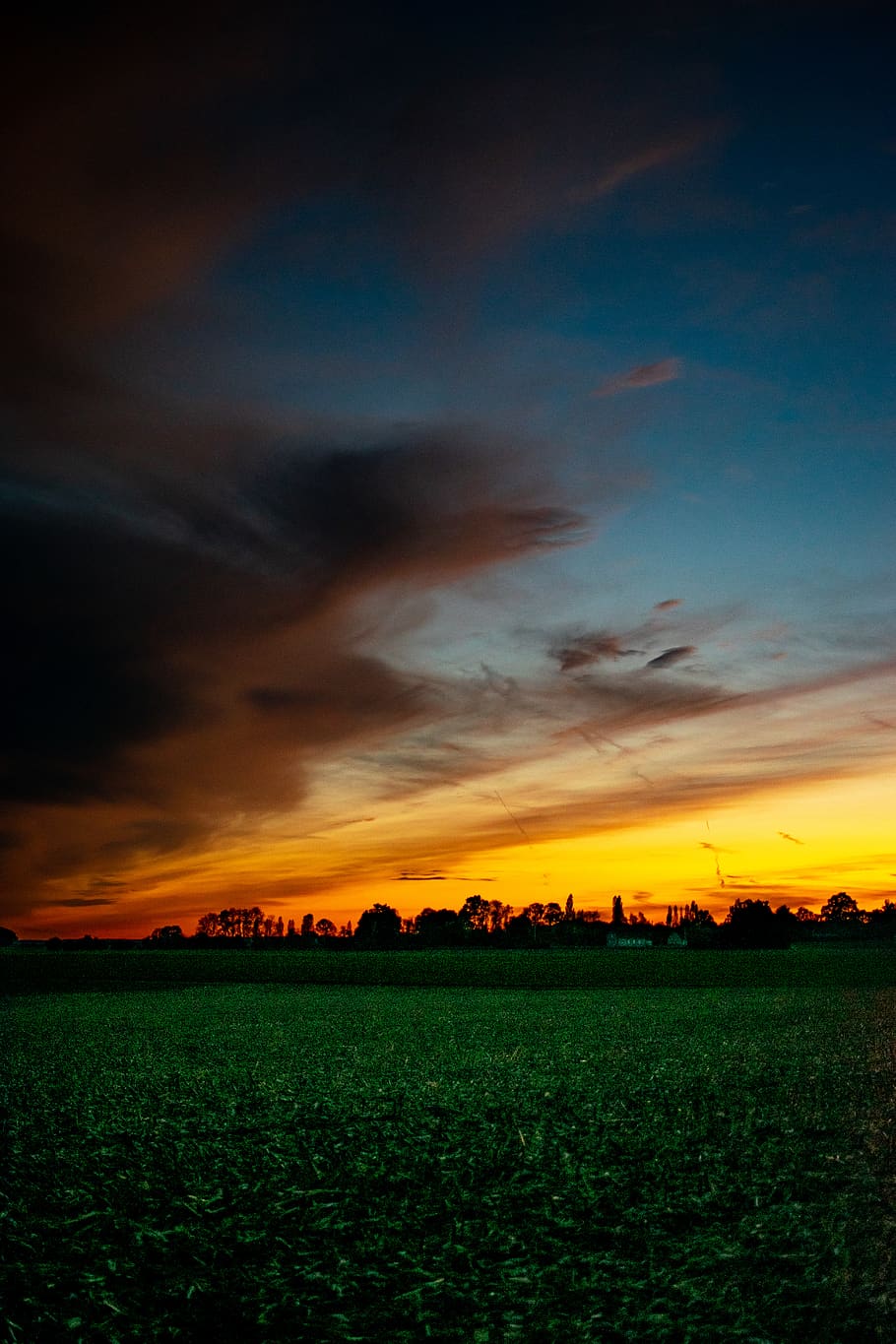 grass field under blue sky, nature, outdoors, sunset, red sky HD wallpaper