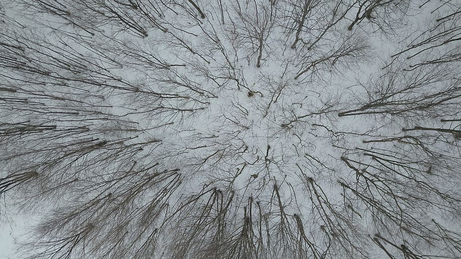 canada, lachute, backgrounds, full frame, no people, textured HD wallpaper