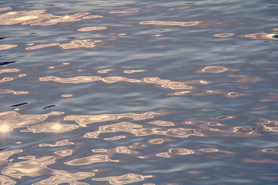 water, river, wave, sun, reflection, sunshine, mirroring, flowing HD wallpaper