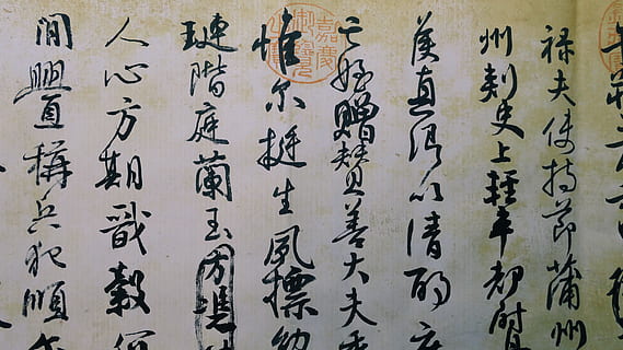 printed paper, text, calligraphy, handwriting, rug, bird, animal HD wallpaper