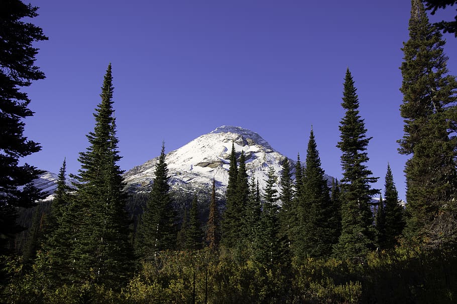 trees, forest, mountain, mountains, sky, light, sunrise, nature HD wallpaper