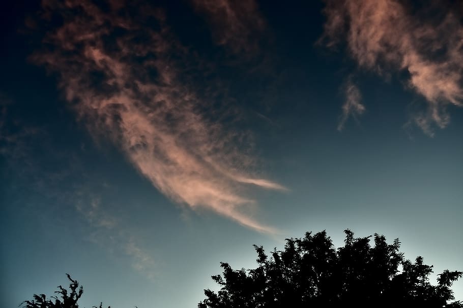 sky, clouds, tree, cloud - sky, low angle view, beauty in nature HD wallpaper