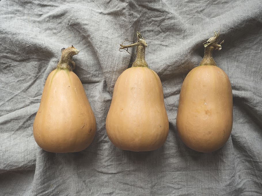 three orange pumpkins, still life, indoors, wellbeing, food and drink HD wallpaper