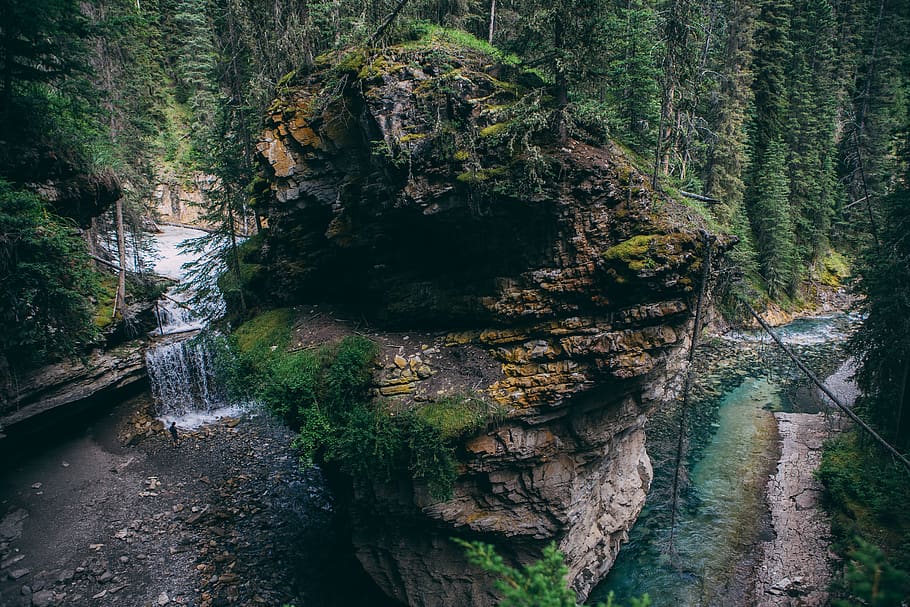 waterfall, river, rapids, cliff, trees, plant, forest, beauty in nature HD wallpaper