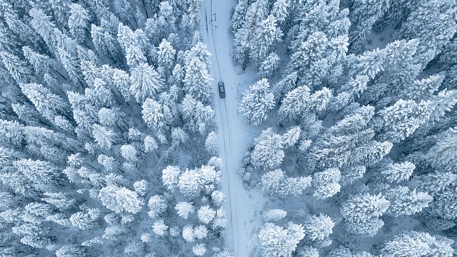 Aerial Photography of Pine Trees Covered With Snow, cold, crystal HD wallpaper