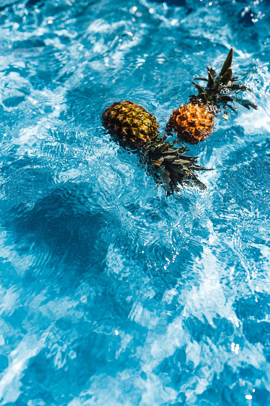 Pineapple in a swimming pool, day, summer, water, copyspace, fruits HD wallpaper