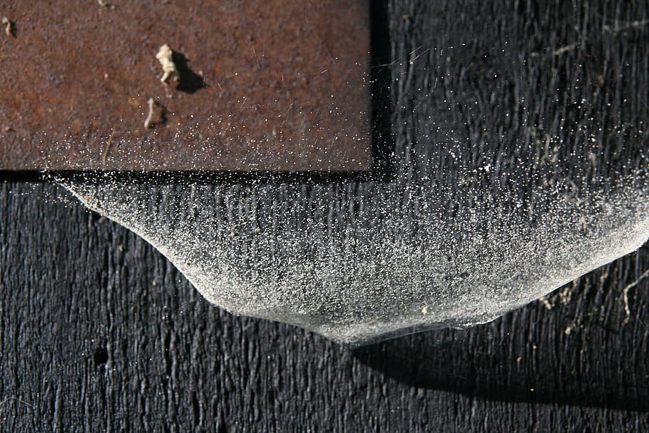 spider webs, dust, structure, rust, close-up, wood - material HD wallpaper