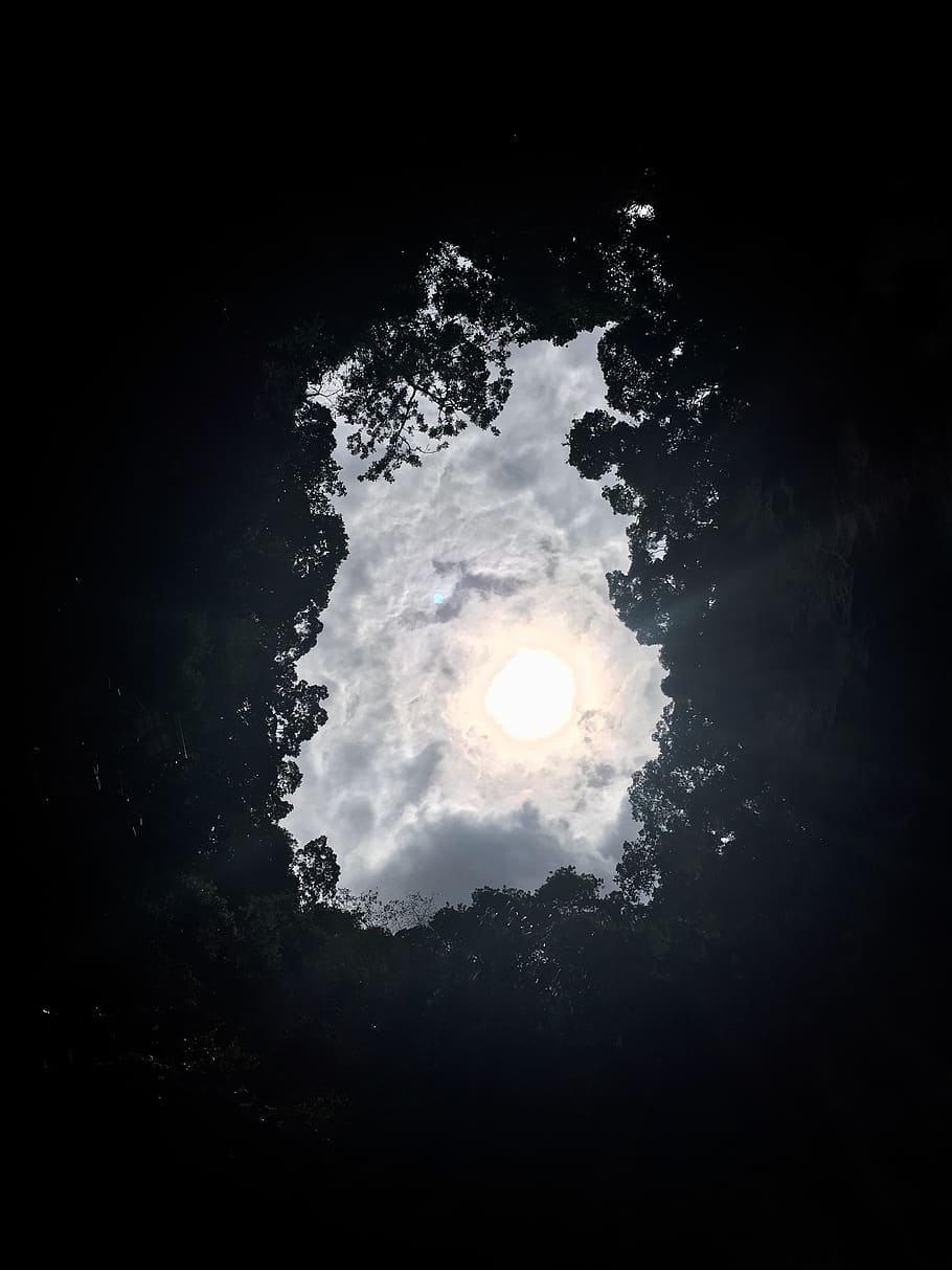 philippines, trees, forest, sky, contrast, nature, space, astronomy HD wallpaper