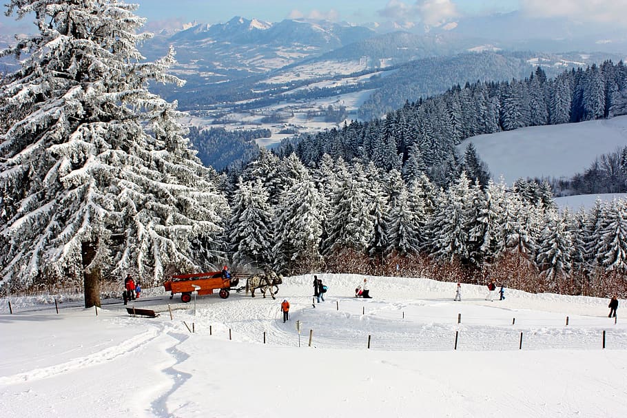 nature, snow, winter, forest, landscape, mountain, sky, cold HD wallpaper