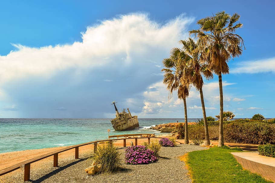 shipwreck, sea, clouds, boat, tourism, scenery, seashore, palm trees HD wallpaper