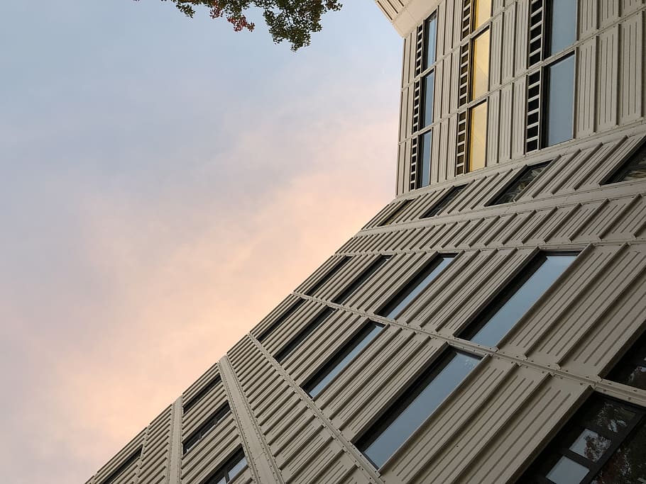 netherlands, the hague, built structure, architecture, building exterior HD wallpaper