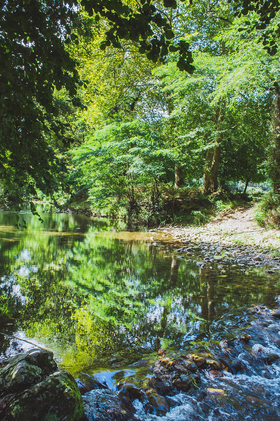spain, guriezo, reflection, river, water running, corriente HD wallpaper