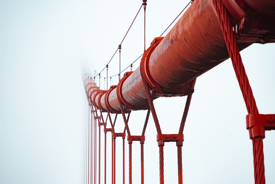 red pipe with red ropes, pipeline, horse, mammal, animal, bridge