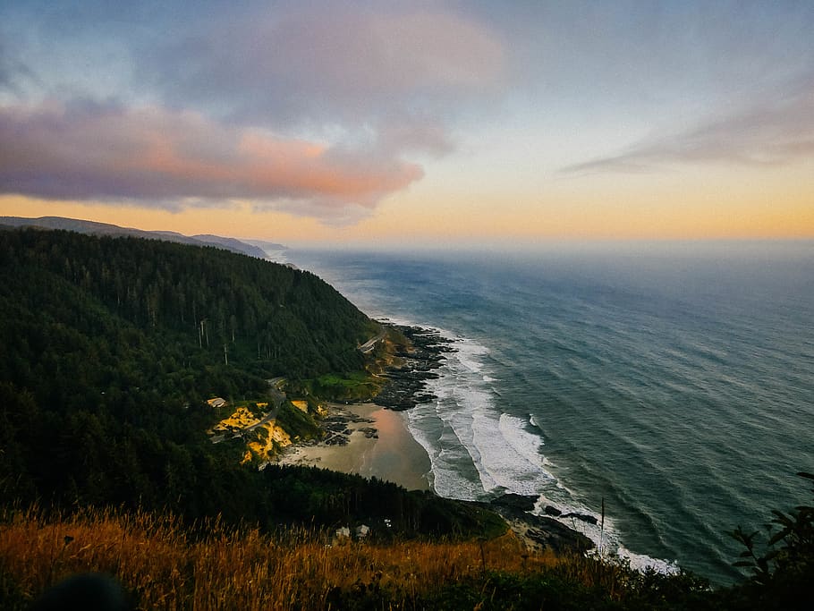 beach, road, tree, sunset, shoreline, wafe, cost, oregon, beauty in nature HD wallpaper