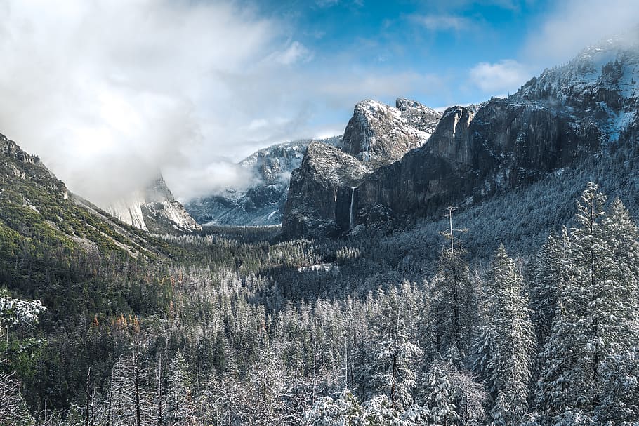 woods across cloudy mountains, plant, tree, nature, outdoors HD wallpaper
