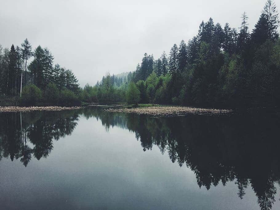 wisła, poland, trees, forest, lake, swamp, clouds, pound, fog HD wallpaper