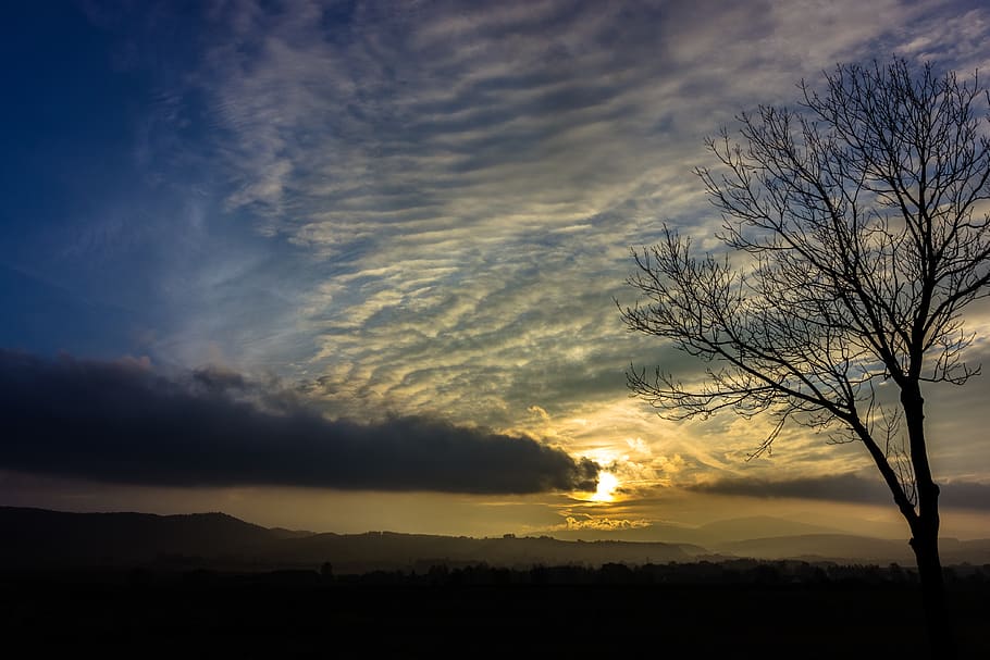 poland, klodzko, sunset, tree, nature, sky, cloud - sky, silhouette HD wallpaper