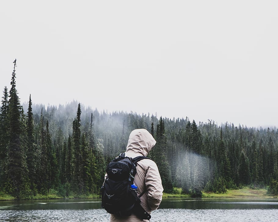 man standing near pine trees, person, human, people, backpack HD wallpaper