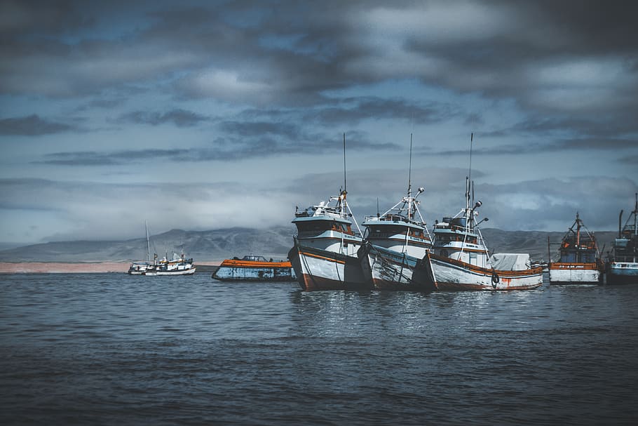 cruiser ships on ocean water under gray sky, peru, islas ballestas, HD wallpaper