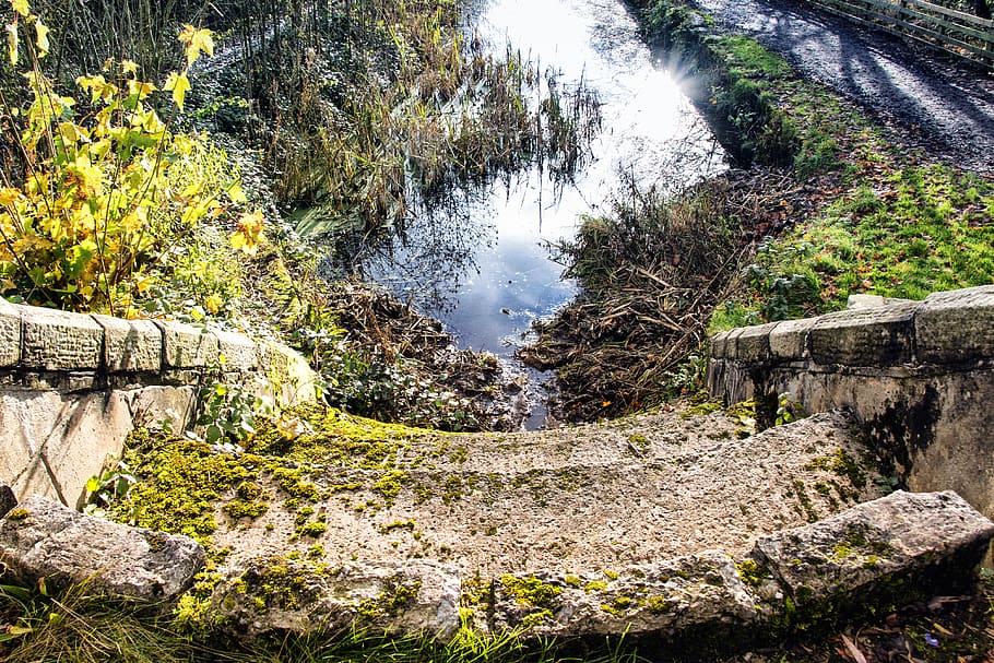 Brown Staircase Towards Body of Water, daisy nook, grass, moss HD wallpaper