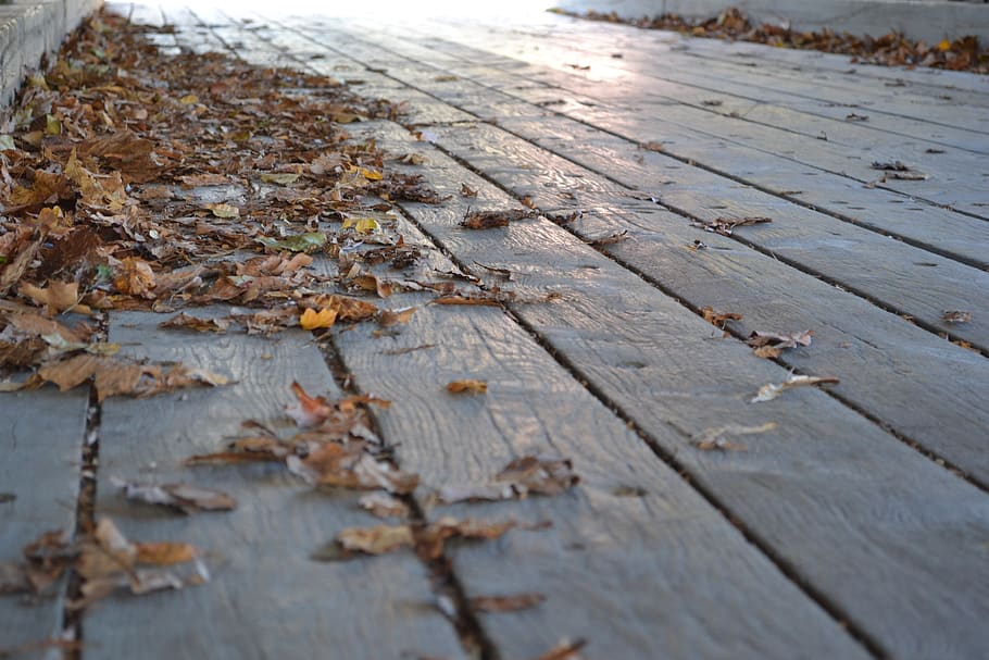 fall, leaves, wood, floor, wood - material, plant part, leaf HD wallpaper