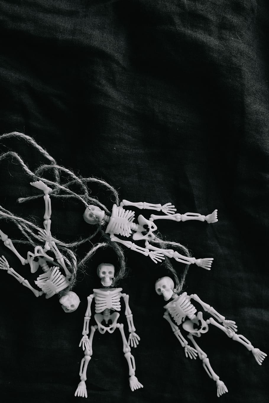 Skeleton Aesthetic Wallpaper  NawPic