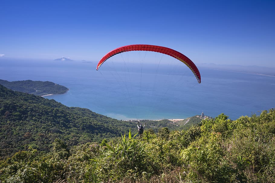 Person Paragliding Above Forest, bay, beach, coast, daylight HD wallpaper