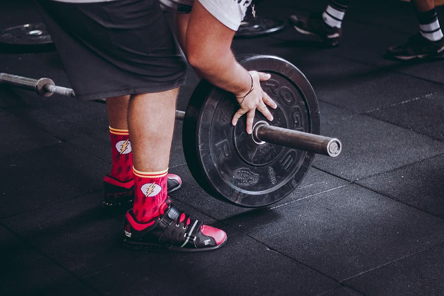 Person Holding Black Weight Plate, active, athlete, barbell, bodybuilder HD wallpaper