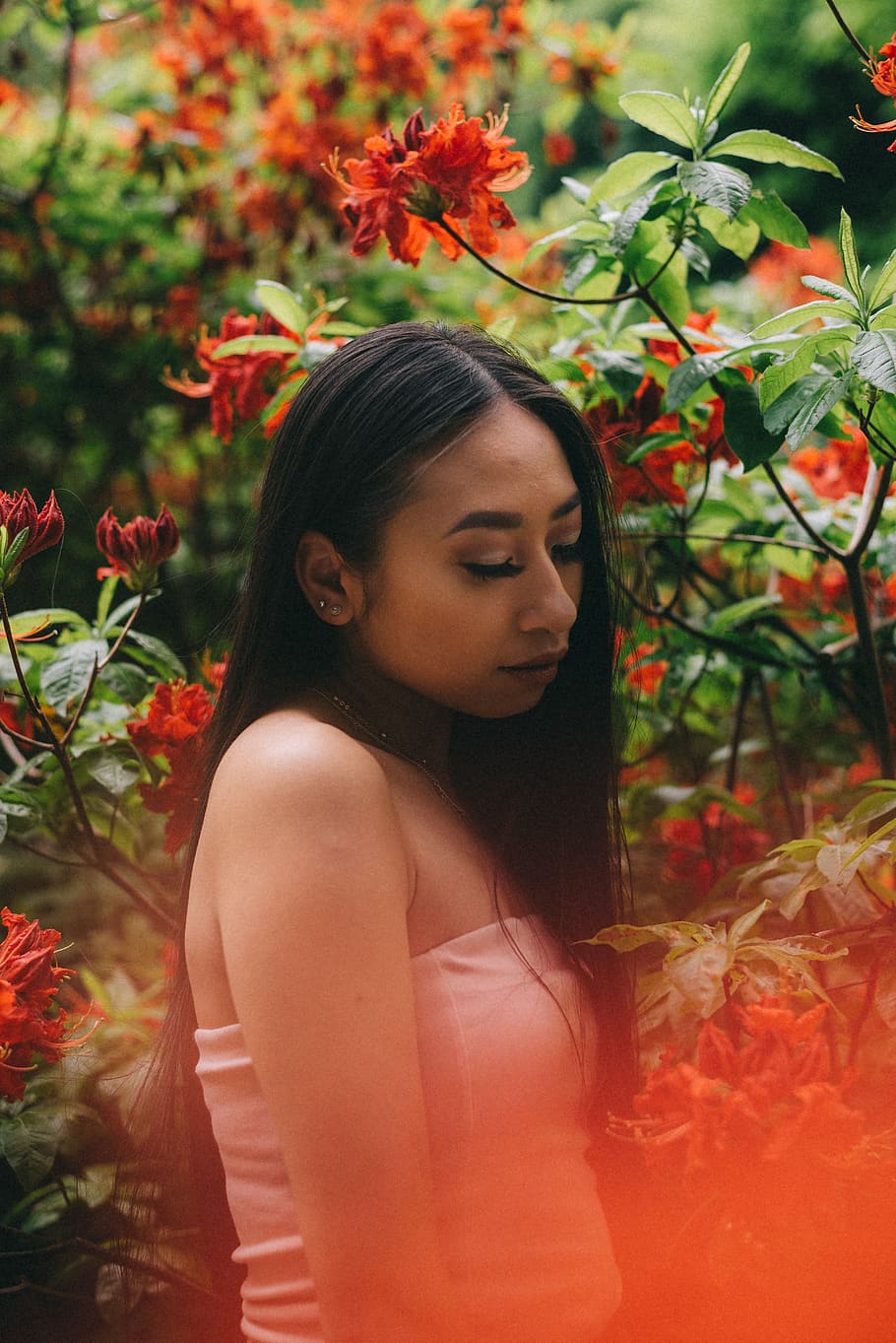 woman standing in front of red flowers, plant, blossom, person, HD wallpaper