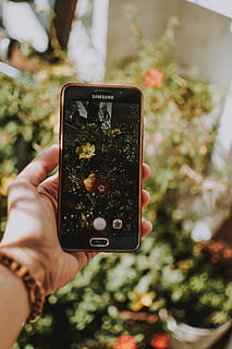 Selective Focus Photo of Black Samsung Galaxy Android Smartphone Displaying Yellow Petaled Flower HD wallpaper