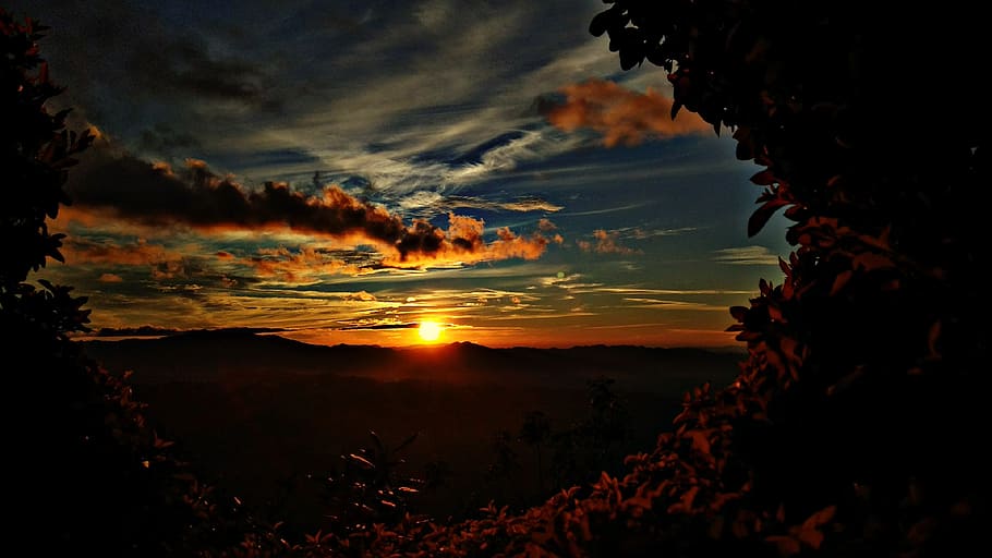 Silhouette Photo Of Sunset, backlit, dawn, dusk, light, nature HD wallpaper