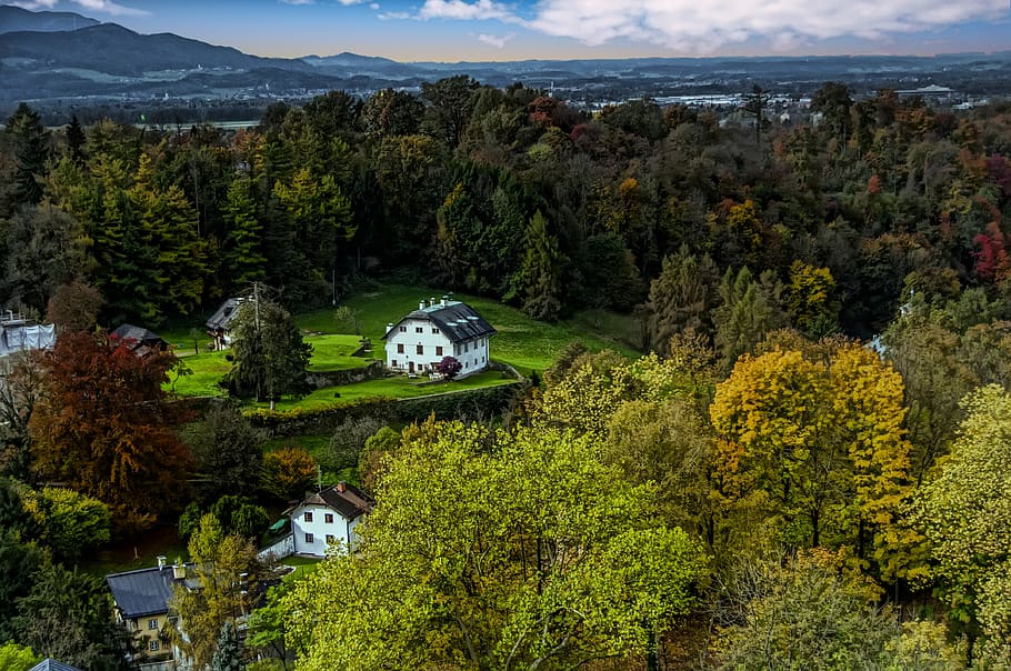 Landscape Photo of House Near Trees, bird's eye view, clouds HD wallpaper