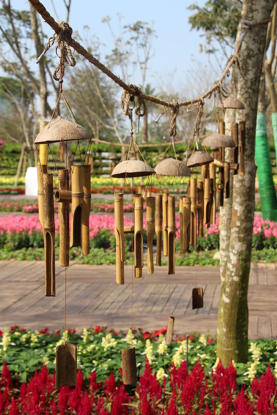 wind chimes, bamboo, waipu, charm, plant, flower, flowering plant, HD wallpaper