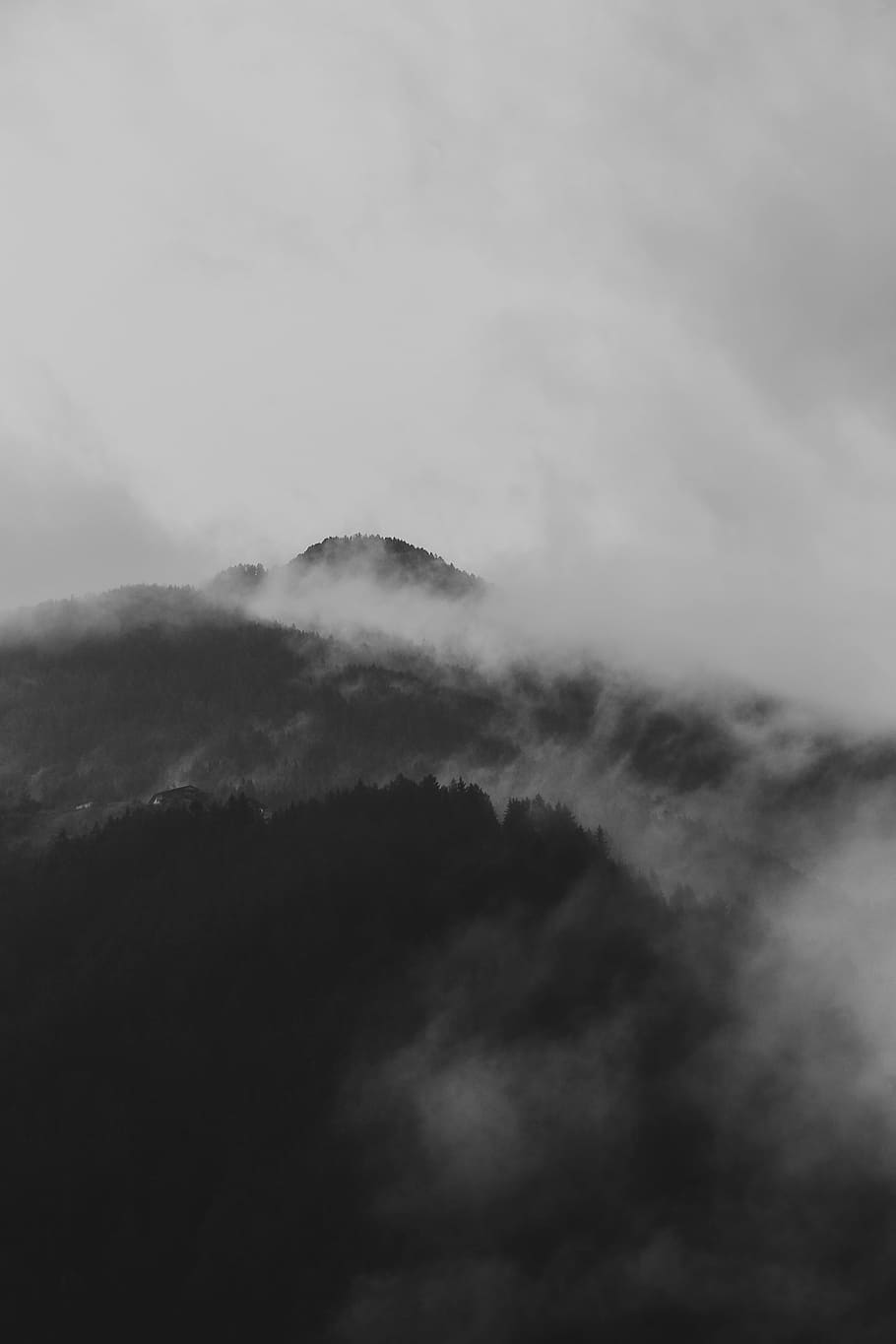 grayscale photo of mountain with clouds, forest, cloudy, fog HD wallpaper