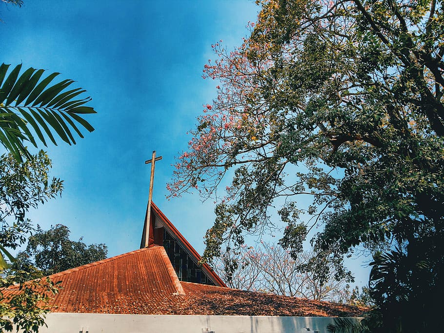 philippines, tree, plant, architecture, built structure, sky HD wallpaper