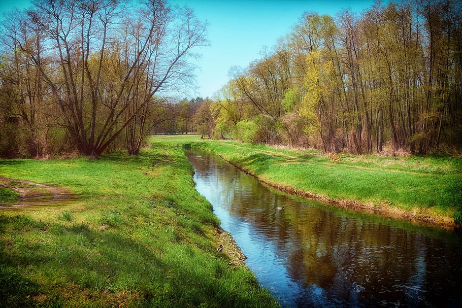 landscape, nature, river, mill flow, trees, plant, water, tranquility HD wallpaper