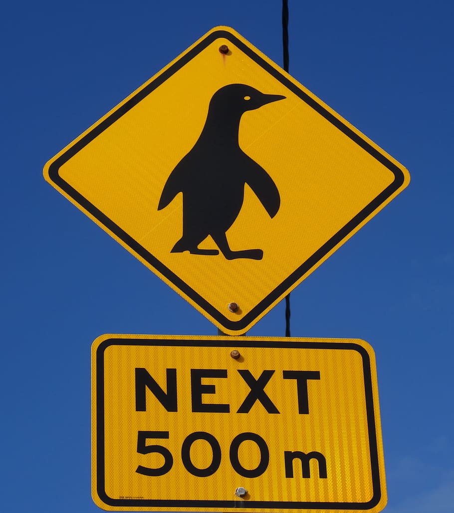Warning to watch out for penguins crossing the road, penuin, sign, HD wallpaper