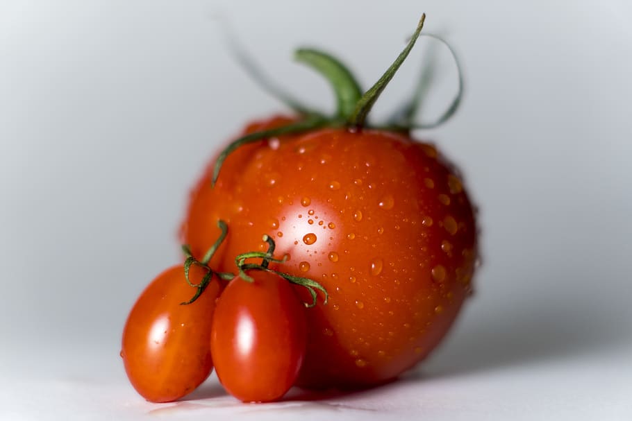 orange tomatoes, food, healthy eating, food and drink, fruit HD wallpaper