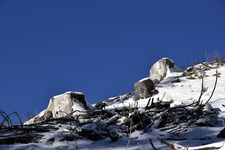 snow, cold temperature, winter, sky, beauty in nature, clear sky HD wallpaper