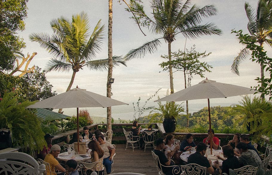 philippines, tagaytay, breakfast, trees, vacation, paradise HD wallpaper