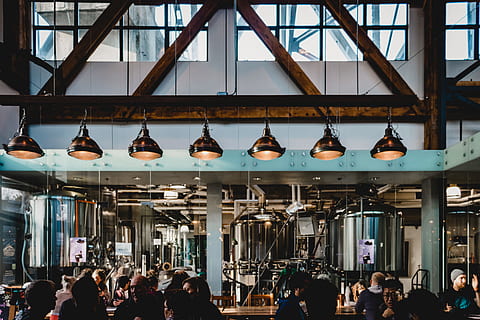 people inside buildings, human, person, factory, brewery, window HD wallpaper