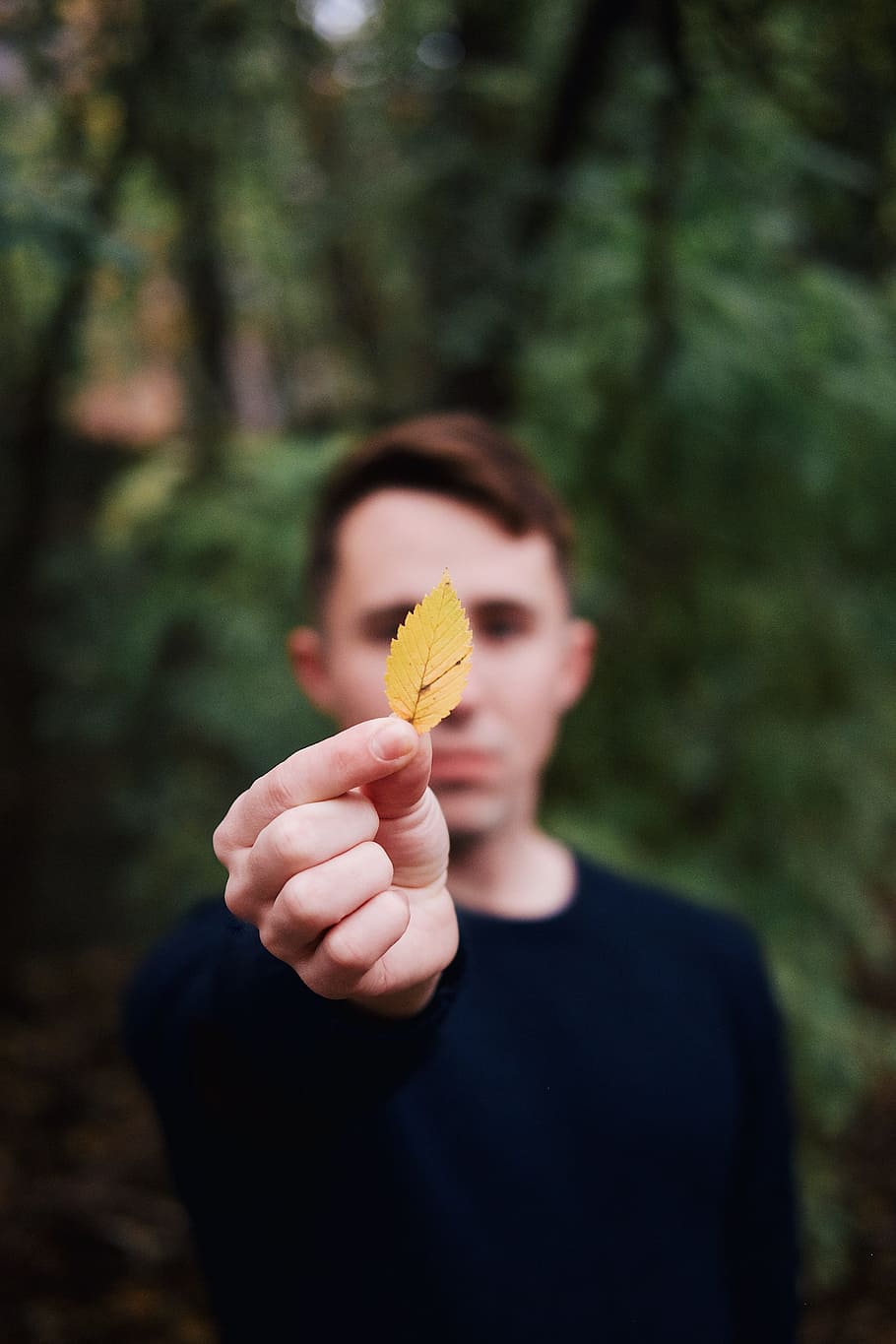 man holding yellow leaf, person, finger, outdoor, small, little HD wallpaper