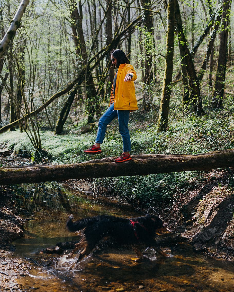 Woman Standing On Log, adventure, balance, environment, outdoors HD wallpaper