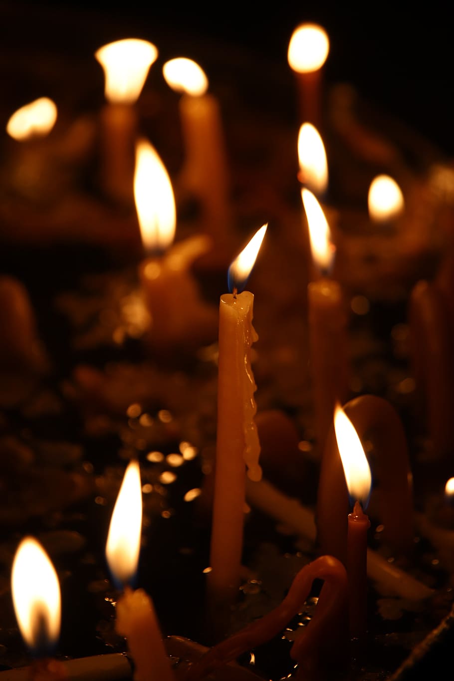 candle, candles, the flame, light, contemplation, prayer, mood HD wallpaper