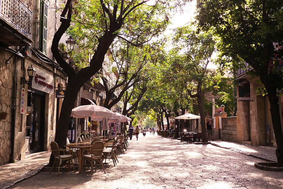 mallorca, trees, city, summer, holiday, sun, street, architecture HD wallpaper