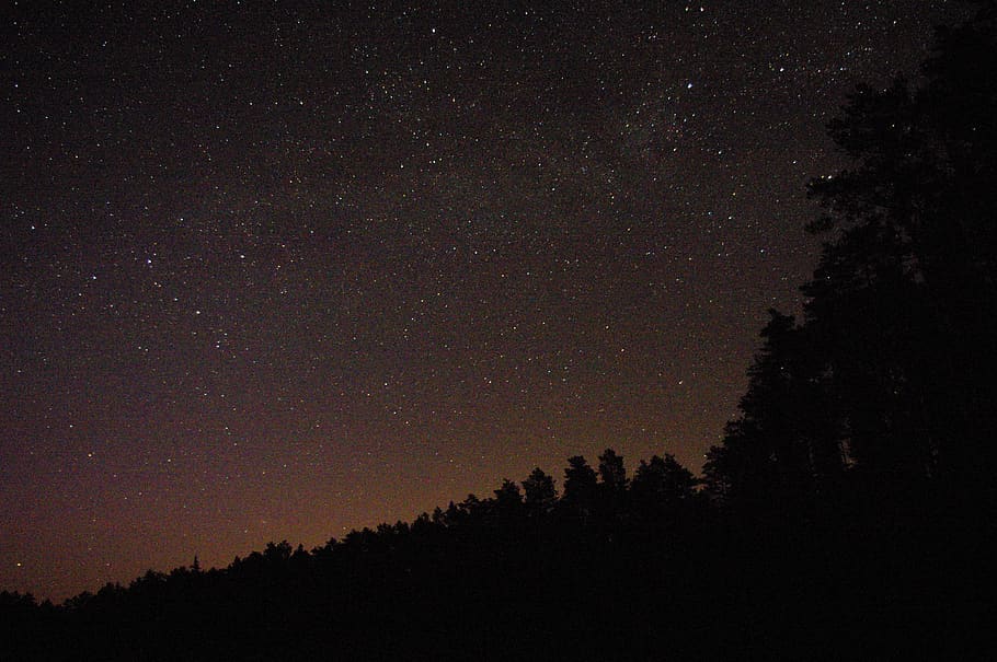 sky, night, space, astronomy, star - space, tree, beauty in nature HD wallpaper