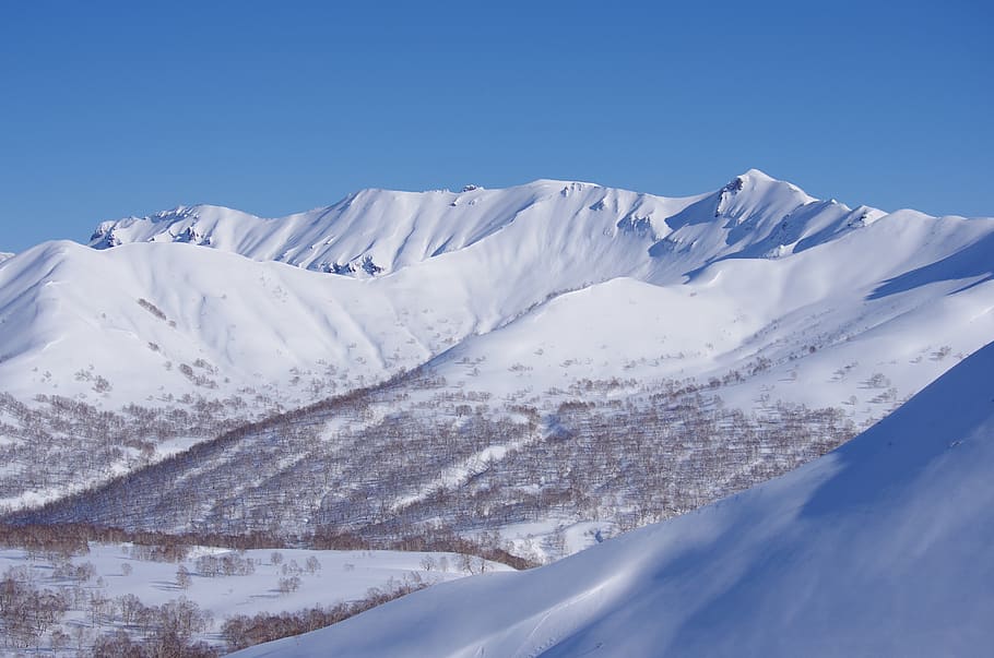 snow, mountain, winter, ice, coldly, ridge, top, nast, forest HD wallpaper